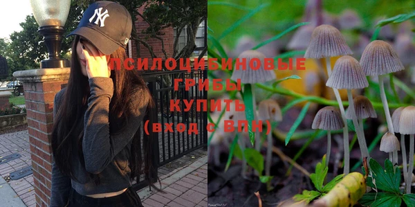 мет Абаза