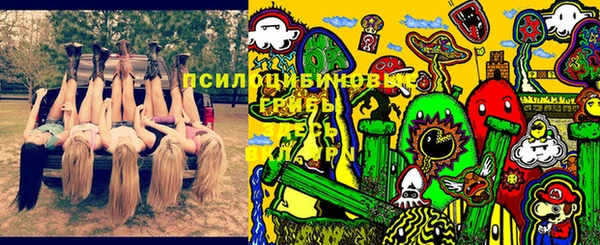 мет Абаза