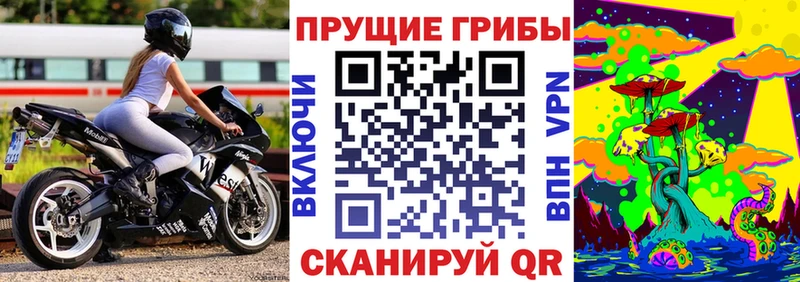 цена наркотик  Подпорожье  ссылка на мегу рабочий сайт  Псилоцибиновые грибы Magic Shrooms 